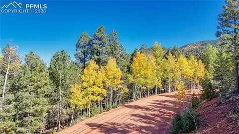 959 Calcite Dr, Divide, CO 80814 photo 2