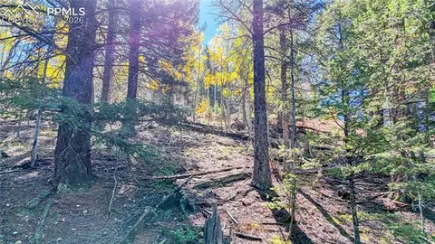 959 Calcite Dr, Divide, CO 80814 photo 47