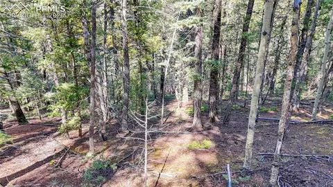 959 Calcite Dr, Divide, CO 80814 photo 45