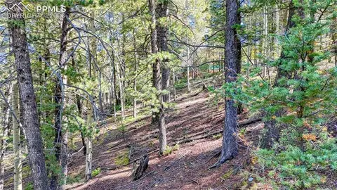 959 Calcite Dr, Divide, CO 80814 photo 43