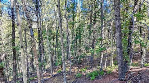 959 Calcite Dr, Divide, CO 80814 photo 44
