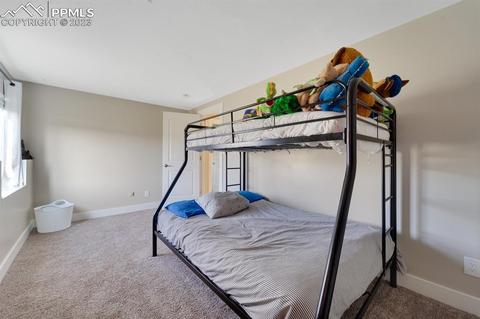 10930 Squawbush Loop, Peyton, CO 80831 photo 17