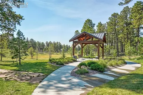 1059 Tree Bark Ter, Monument, CO 80132 photo 14