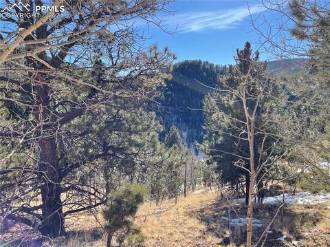 466 Valley Rd, Divide, CO 80814 photo 4