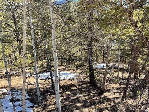 466 Valley Rd, Divide, CO 80814 photo 6
