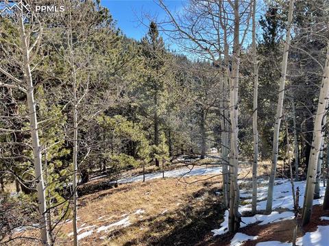 466 Valley Rd, Divide, CO 80814 photo 1