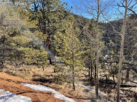 466 Valley Rd, Divide, CO 80814 photo 3