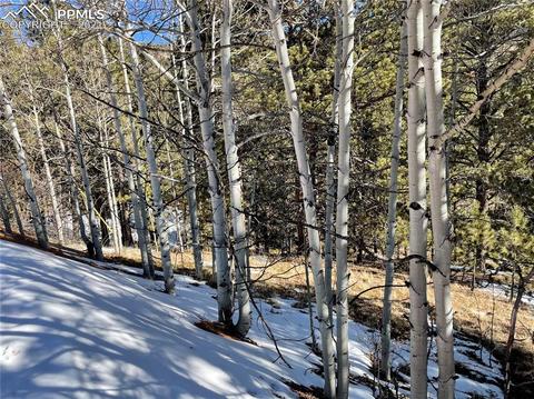 466 Valley Rd, Divide, CO 80814 photo 7