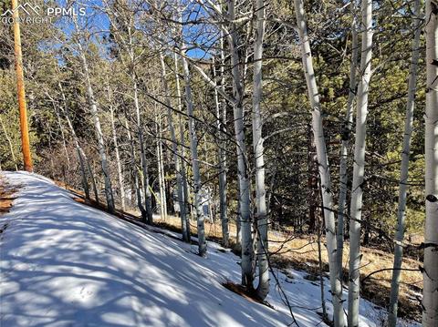 466 Valley Rd, Divide, CO 80814 photo 8