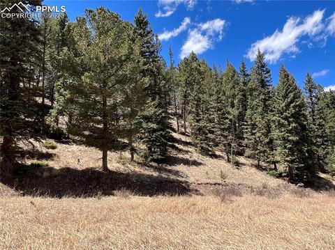 535 Willow Rd, Divide, CO 80814 photo 1
