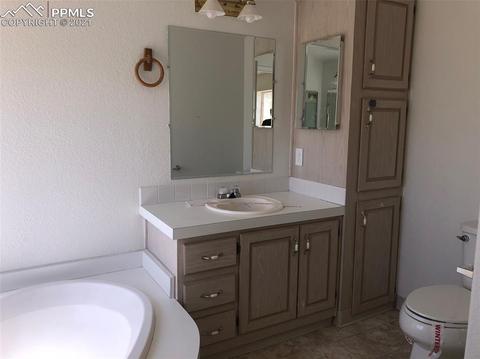 267 E Longbow Dr, Divide, CO 80814 photo 21