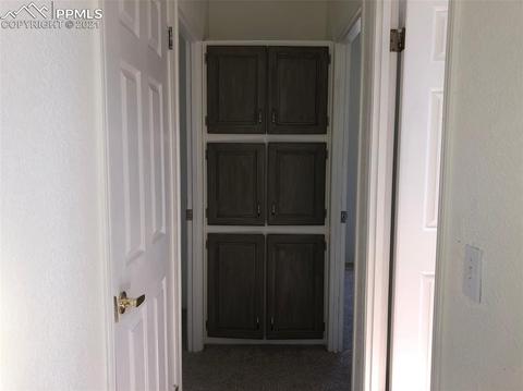 267 E Longbow Dr, Divide, CO 80814 photo 24