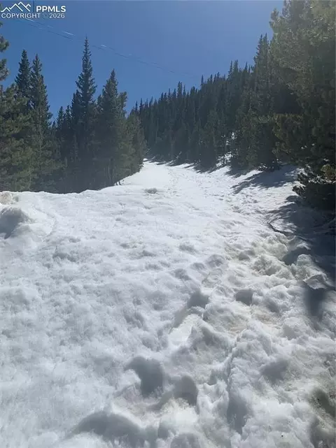 Hilltop Road, Idaho Springs, CO 80452