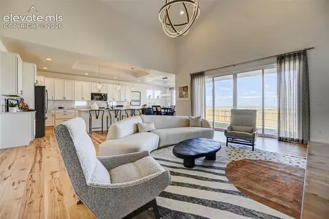 Living - 13502 Woods Grove Dr, Peyton, CO 80831 photo 4 of 4