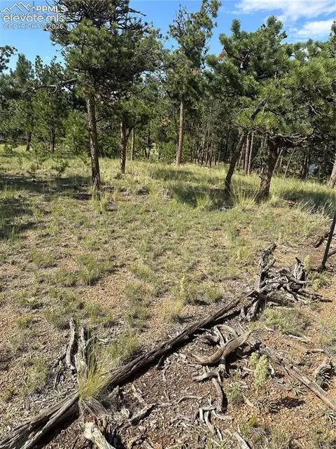 315 Thunder Ridge Rd, Florissant, CO 80816
