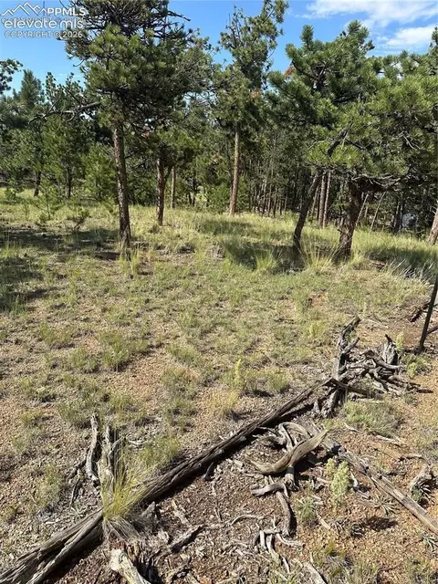 315 Thunder Ridge Rd, Florissant, CO 80816