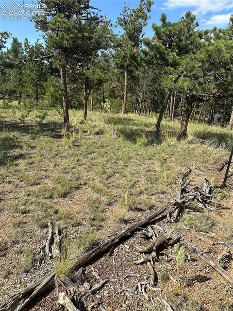 315 Thunder Ridge Rd, Florissant, CO 80816