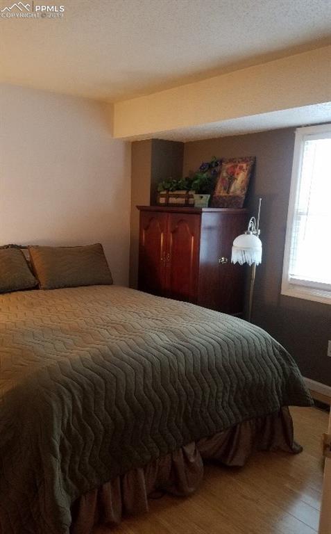 381 Raspberry Ln, Monument, CO 80132 photo 11