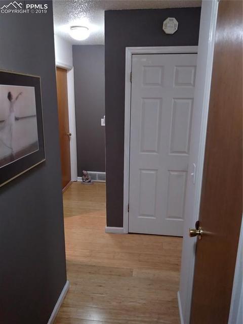 381 Raspberry Ln, Monument, CO 80132 photo 10