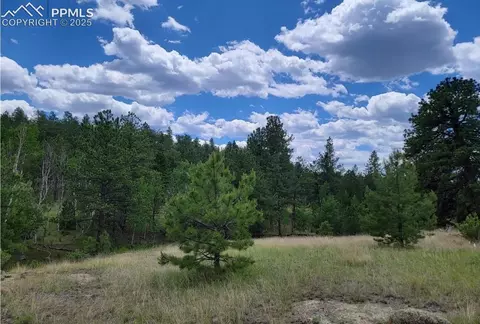 126 Gleneagle Dr, Florissant, CO 80816