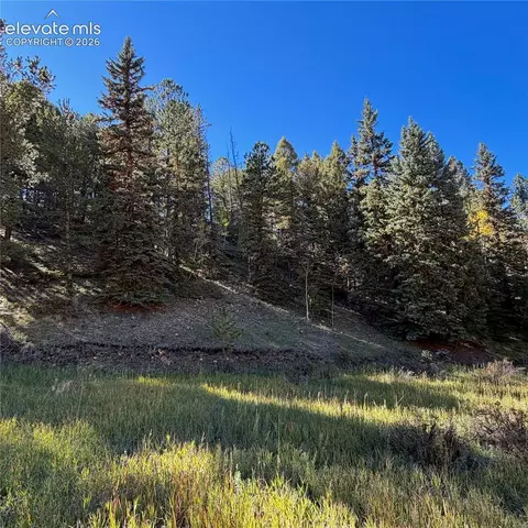 535 Willow Rd, Divide, CO 80814 photo 8