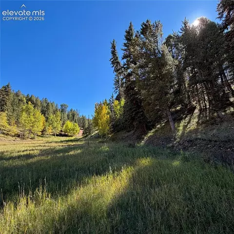 535 Willow Rd, Divide, CO 80814 photo 10
