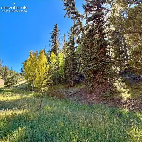 535 Willow Rd, Divide, CO 80814 photo 9