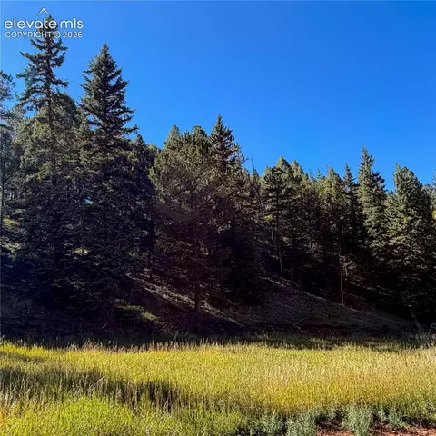 535 Willow Rd, Divide, CO 80814 photo 15