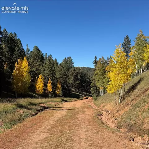 535 Willow Rd, Divide, CO 80814 photo 20