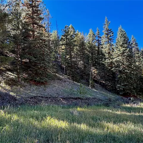535 Willow Rd, Divide, CO 80814 photo 5