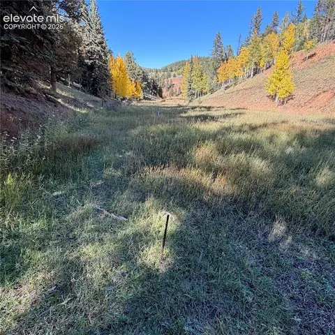 535 Willow Rd, Divide, CO 80814 photo 17