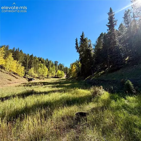 535 Willow Rd, Divide, CO 80814 photo 2