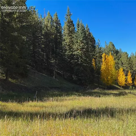 535 Willow Rd, Divide, CO 80814 photo 4