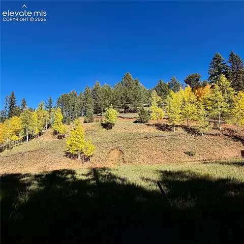 535 Willow Rd, Divide, CO 80814 photo 19
