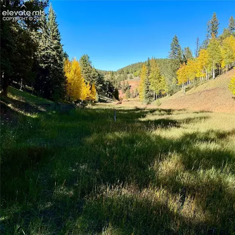 535 Willow Rd, Divide, CO 80814 photo 18