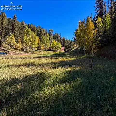 535 Willow Rd, Divide, CO 80814 photo 6