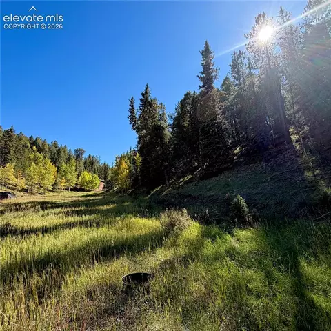 535 Willow Rd, Divide, CO 80814 photo 12