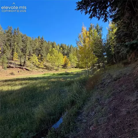 535 Willow Rd, Divide, CO 80814 photo 14