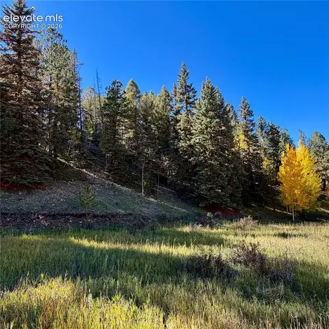 535 Willow Rd, Divide, CO 80814 photo 3