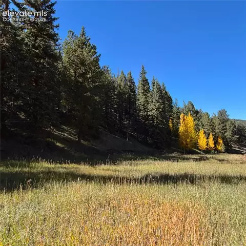 535 Willow Rd, Divide, CO 80814 photo 11