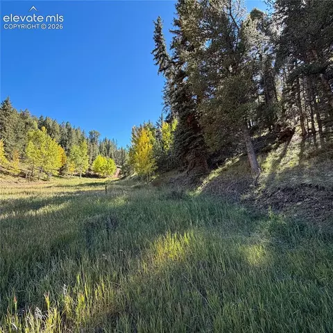 535 Willow Rd, Divide, CO 80814 photo 13