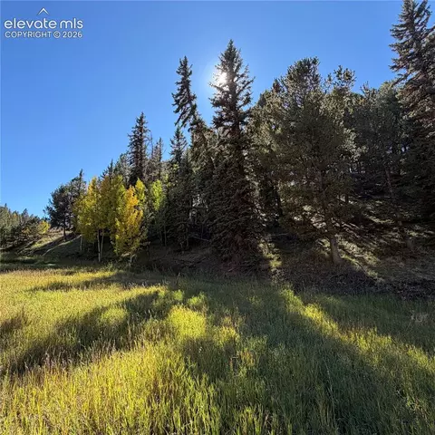 535 Willow Rd, Divide, CO 80814 photo 7