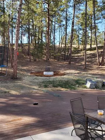 1341 Vanderwolf Ct, Monument, CO 80132 photo 46