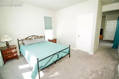 1341 Vanderwolf Ct, Monument, CO 80132 photo 39