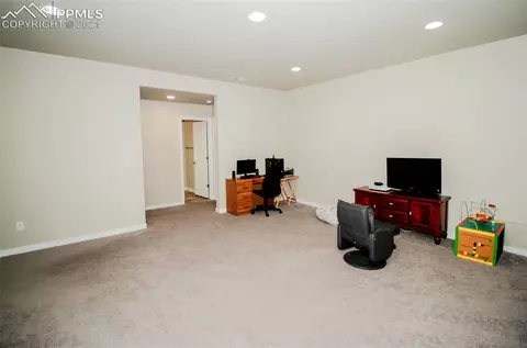 1341 Vanderwolf Ct, Monument, CO 80132 photo 31