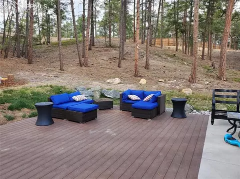 1341 Vanderwolf Ct, Monument, CO 80132 photo 47