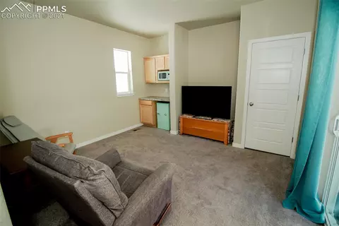 1341 Vanderwolf Ct, Monument, CO 80132 photo 43
