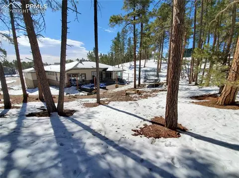 1341 Vanderwolf Ct, Monument, CO 80132 photo 48