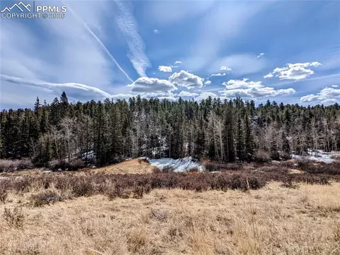 1620 Park Ridge Dr, Guffey, CO 80820