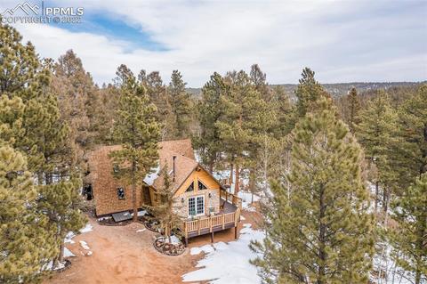 219 W Lake Dr, Divide, CO 80814 photo 6